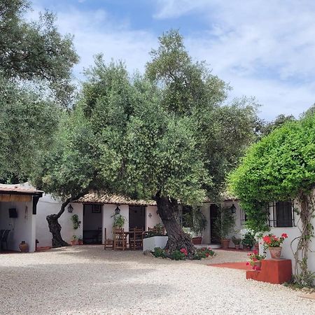 Casa Abanto Villa Ronda Eksteriør billede
