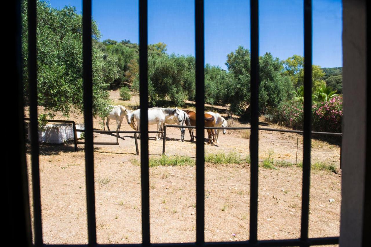 Casa Abanto Villa Ronda Eksteriør billede